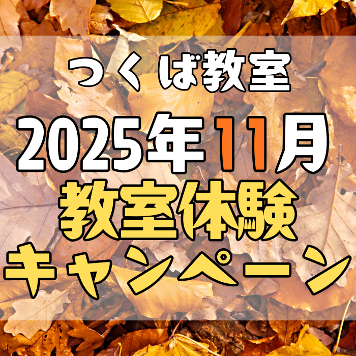 体験11月